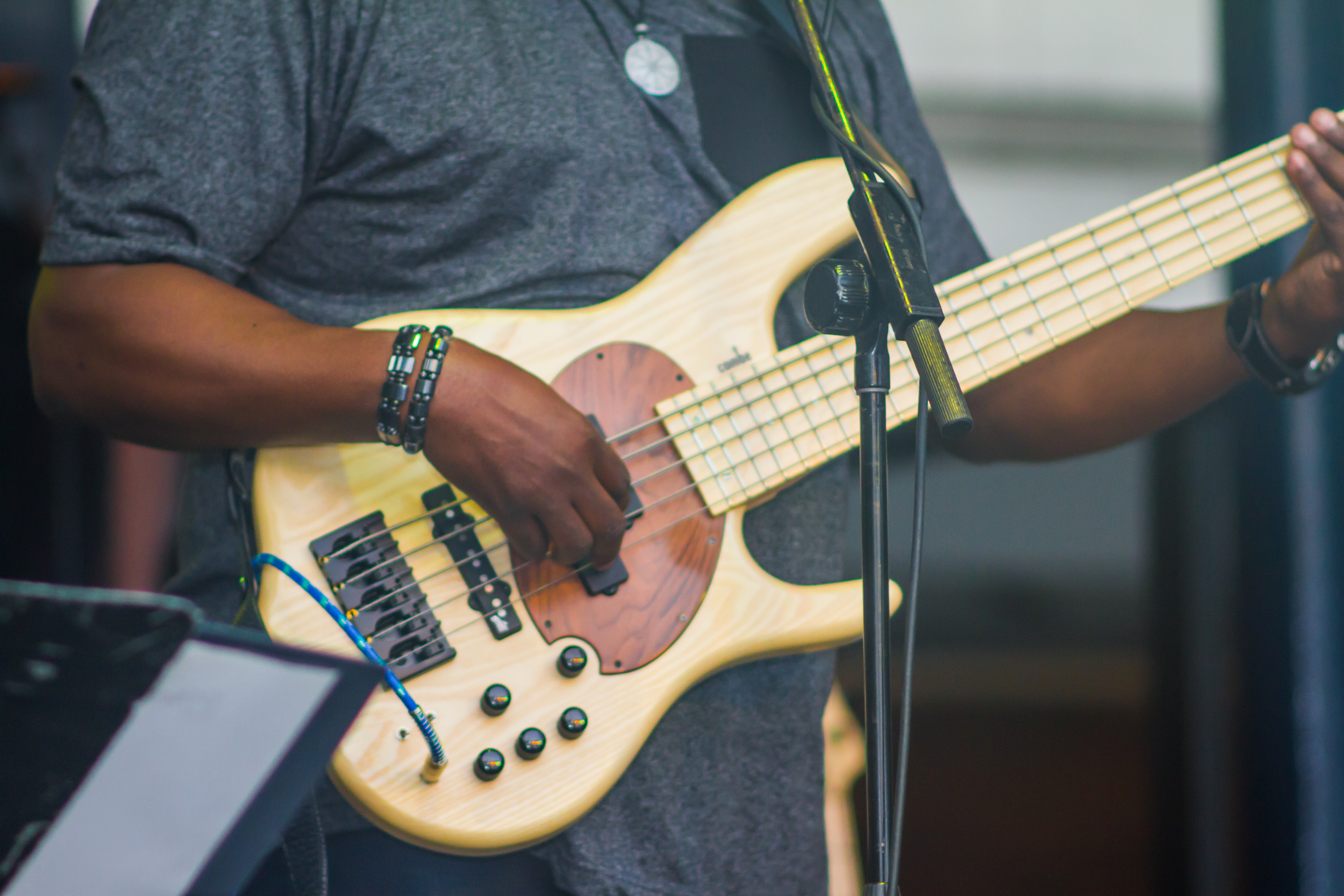 Bear's Bass