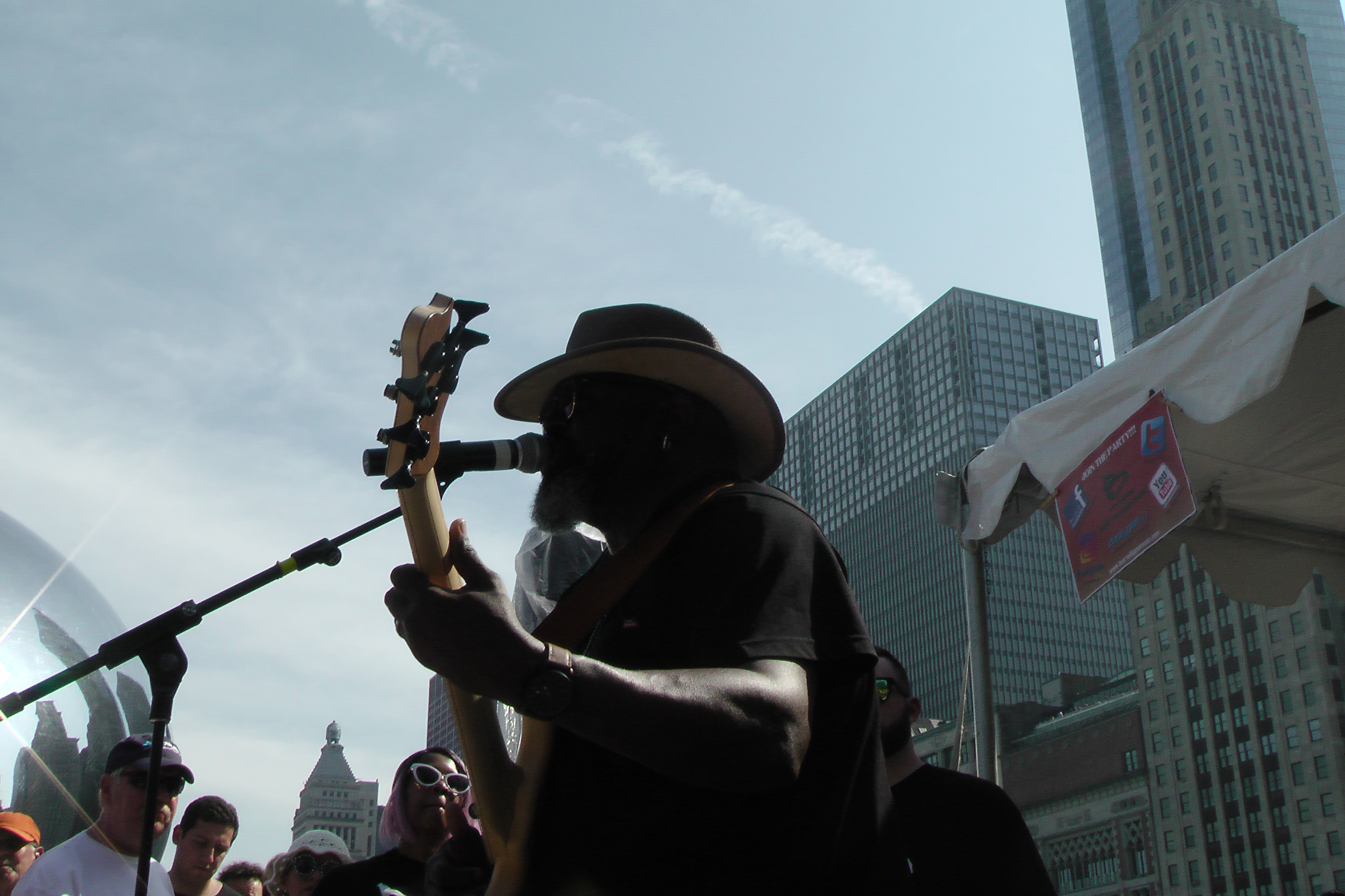 2018 Chicago Bluesfest