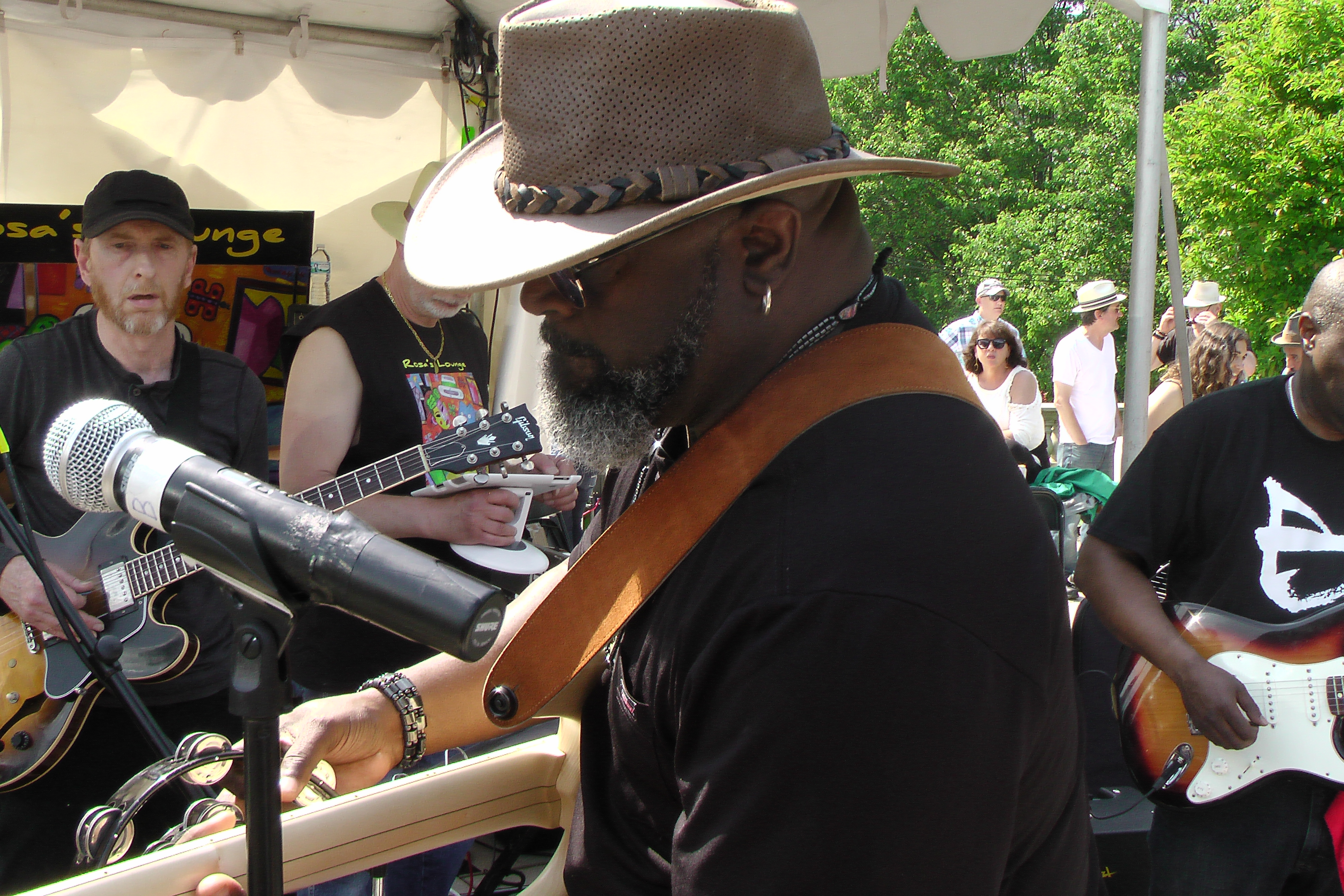 2018 Chicago Bluesfest